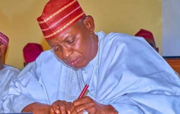 Kano Gov slashes tuition by 50% for indigenes in state-owned tertiary institutions