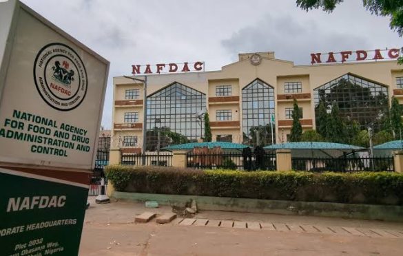 NAFDAC DG cautions against refrigerating cooked food for more than three days
